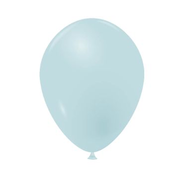 100 ballons opaques 25 cm bleu pastel | jourdefete.com 100 ballons opaques 25 cm bleu pastel | jourdefete.com