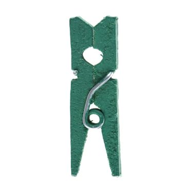 Un lot de 24 mini pinces en bois de couleur vert eucalyptus pour égayer votre table | jourdefete.com Un lot de 24 mini pinces en bois de couleur vert eucalyptus pour égayer votre table | jourdefete.com