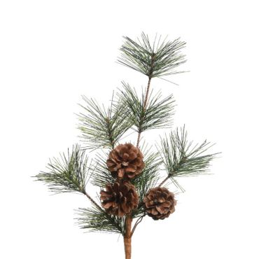 noel-branche-aiguilles-pin | jourdefete.com noel-branche-aiguilles-pin | jourdefete.com