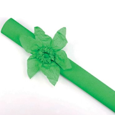 Rouleau papier crépon 10m – Vert Rouleau papier crépon 10m – Vert