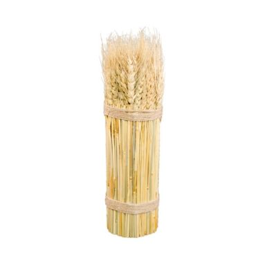 Botte Epi de Blé Naturel 