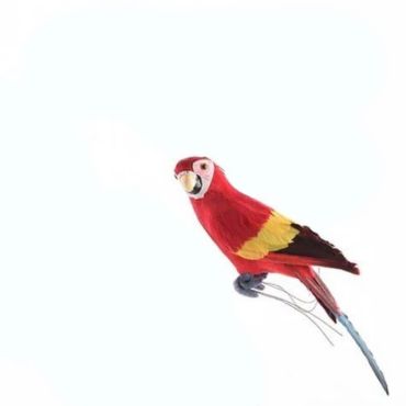 Perroquet Rouge - 34 cm