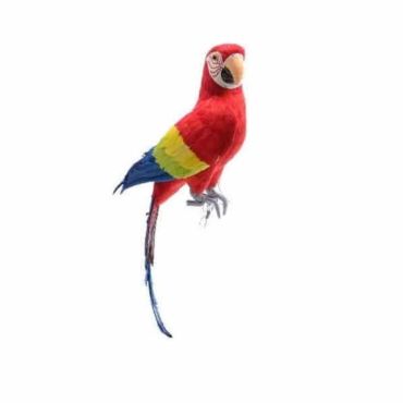 Perroquet Rouge - 42 cm
