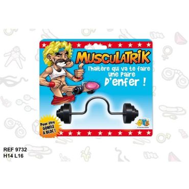 Musculatrik Musculatrik