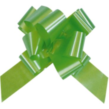 Noeud Automatique Polypro Vert Anis Noeud Automatique Polypro Vert Anis