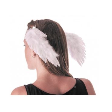 Ailes d'Ange sur Pince