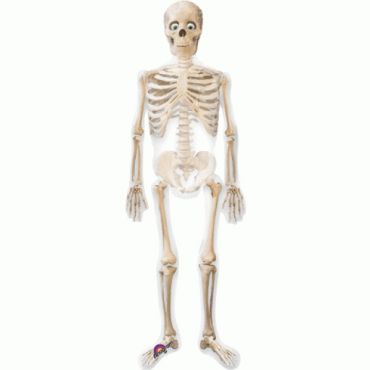Ballon Hélium Halloween AirWalker Squelette Géant Ballon Hélium Halloween AirWalker Squelette Géant