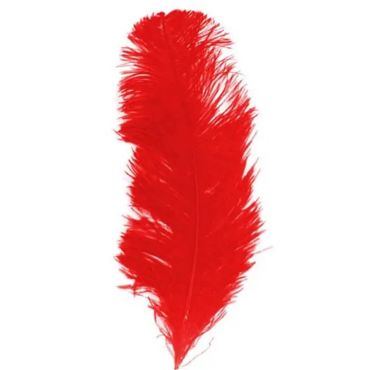 plume autruche rouge | jourdefete.com plume autruche rouge | jourdefete.com