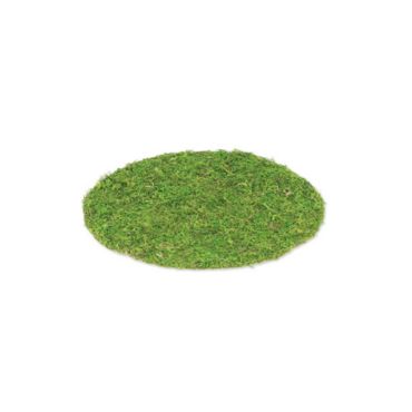 set-table-mousse-vegetal | jourdefete.com set-table-mousse-vegetal | jourdefete.com