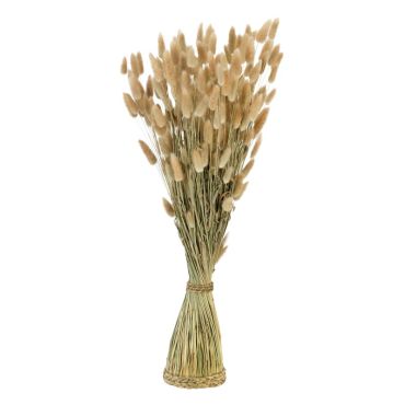 Placez ce magnifique bouquet de Lagurus Ovalus sur votre table | jourdefete.com Placez ce magnifique bouquet de Lagurus Ovalus sur votre table | jourdefete.com