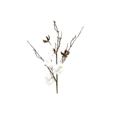branche 7 fleurs de coton | jourdefete.com branche 7 fleurs de coton | jourdefete.com