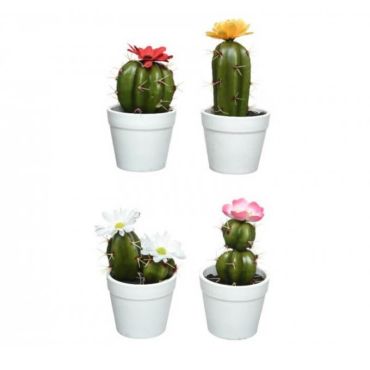 Cactus Fleuri en Pot - Coloris au Choix | jourdefete.com Cactus Fleuri en Pot - Coloris au Choix | jourdefete.com