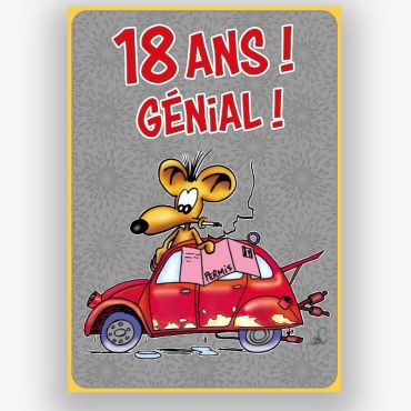 Carte d'anniversaire humour en folie avec une souris 18 ans génial !