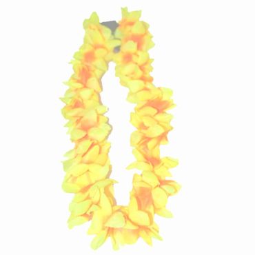 collier-hawai-fleurs-vanille-tiare | jourdefete.com collier-hawai-fleurs-vanille-tiare | jourdefete.com