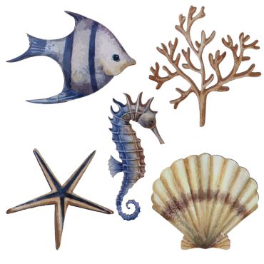Décorations coquillages à parsemer pour table ambiance marine | jourdefete.com Décorations coquillages à parsemer pour table ambiance marine | jourdefete.com