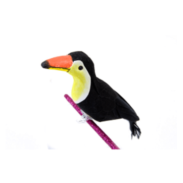 Toucan sur Pince