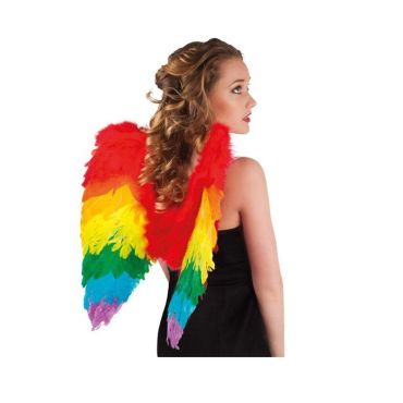 Paire d'ailes - Arc en ciel Paire d'ailes - Arc en ciel