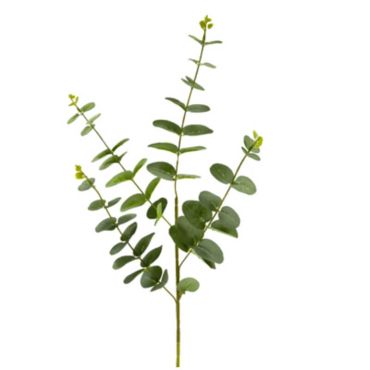feuille-tige-eucalyptus-decoration | jourdefete.com feuille-tige-eucalyptus-decoration | jourdefete.com
