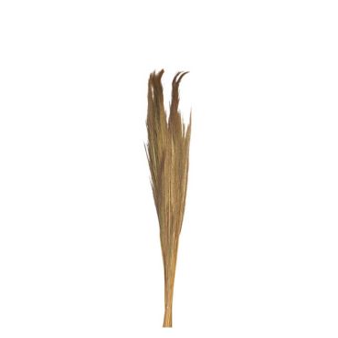 bouquet pampa grass naturel 110 cm | jourdefete.com bouquet pampa grass naturel 110 cm | jourdefete.com