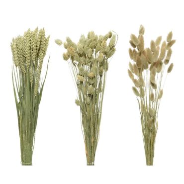 Bouquet d'Herbes Séchées - 60 cm - Modèle aléatoire Bouquet d'Herbes Séchées - 60 cm - Modèle aléatoire