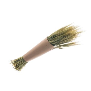 Bouquet de gerst naturel vert | jourdefete.com Bouquet de gerst naturel vert | jourdefete.com