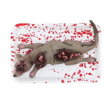 rat ensanglanté dans une barquette | jourdefete.com rat ensanglanté dans une barquette | jourdefete.com