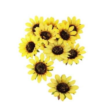 12 tournesols a poser | jourdefete.com 12 tournesols a poser | jourdefete.com