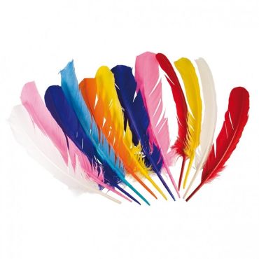 12 Plumes d'Indien Multicolore - 30 cm