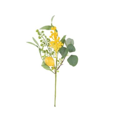 branche de citron, mimosa et feuillage - 40 cm branche de citron, mimosa et feuillage - 40 cm