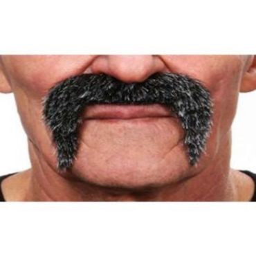 Moustache Poivre et Sel Moustache Poivre et Sel