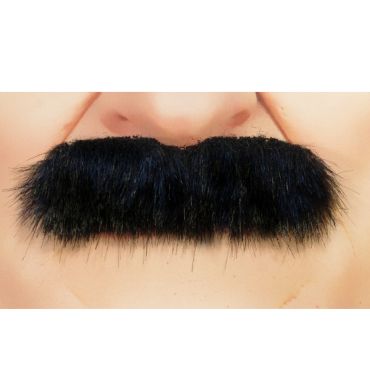 Moustache Brossée Moustache Brossée