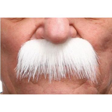 Moustache "Brosse" - Blanc Moustache "Brosse" - Blanc
