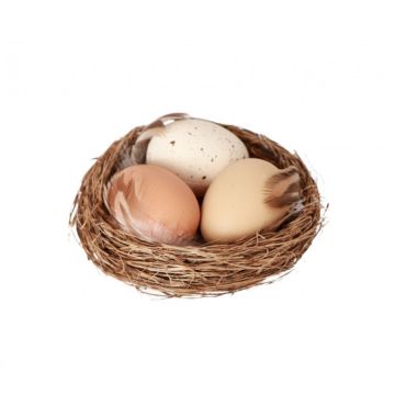 Nid avec 3 œufs réalistes pour décoration | jourdefete.com Nid avec 3 œufs réalistes pour décoration | jourdefete.com