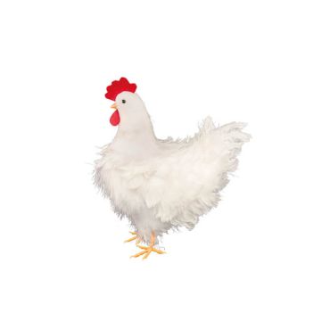Poule blanche à plumes de 32 cm | jourdefete.com Poule blanche à plumes de 32 cm | jourdefete.com