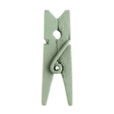 24 Mini Pinces en Bois - Vert Sauge | jourdefete.com