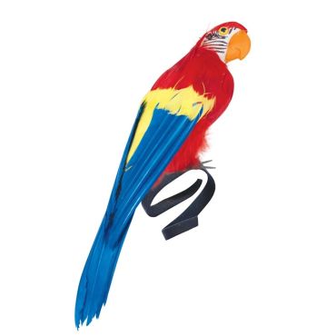 Perroquet coloré pour compléter un déguisement de pirate | jourdefete.com Perroquet coloré pour compléter un déguisement de pirate | jourdefete.com