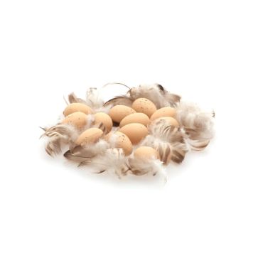 Sachet d'œufs naturels avec plumes pour Pâques - 17 x 14 cm | jourdefete.com Sachet d'œufs naturels avec plumes pour Pâques - 17 x 14 cm | jourdefete.com