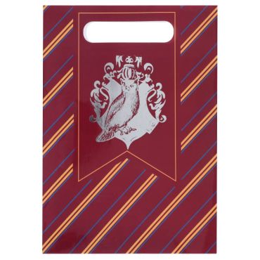 Lot de 10 sacs cadeaux - Sorcier | jourdefete.com Lot de 10 sacs cadeaux - Sorcier | jourdefete.com
