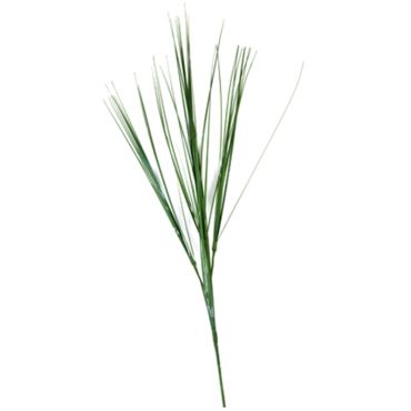 fleur-herbe-oignon-3-tiges|jourdefete.com fleur-herbe-oignon-3-tiges|jourdefete.com