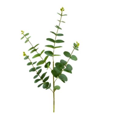 feuille-eucalyptus-decoration-vert | jourdefete.com feuille-eucalyptus-decoration-vert | jourdefete.com