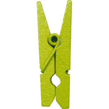 24 Mini Pinces en Bois - Vert 