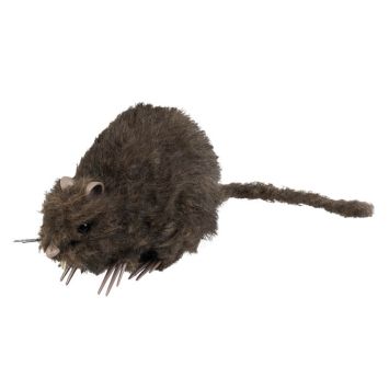 Décoration Rat Halloween 