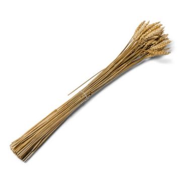 Bouquet d'épis de blé naturels