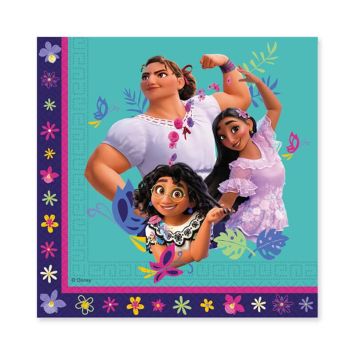 Ce lot de 20 serviettes en papier FSC® - 33 x 33 cm - Encanto™ va embellir votre anniversaire | jourdefete.com