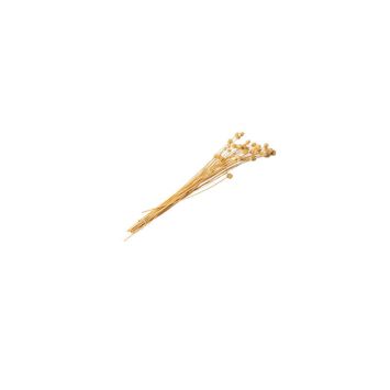 bouquet-chardon-seche|jourdefete.com