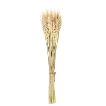 bouquet epis de bles | jourdefete.com