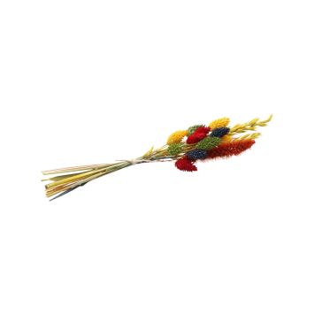 mini bouquet de fleurs séchées multicolores