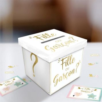 Jeu de vote - Collection Gender Reveal