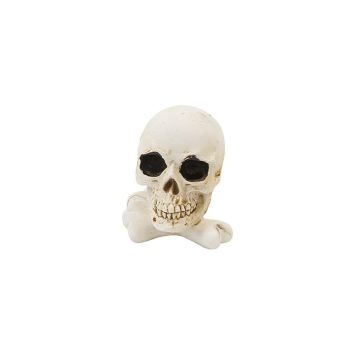 Crâne sur os d'Halloween en résine