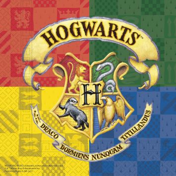 20 serviettes en papier - 33 x 33 cm - Harry Potter™